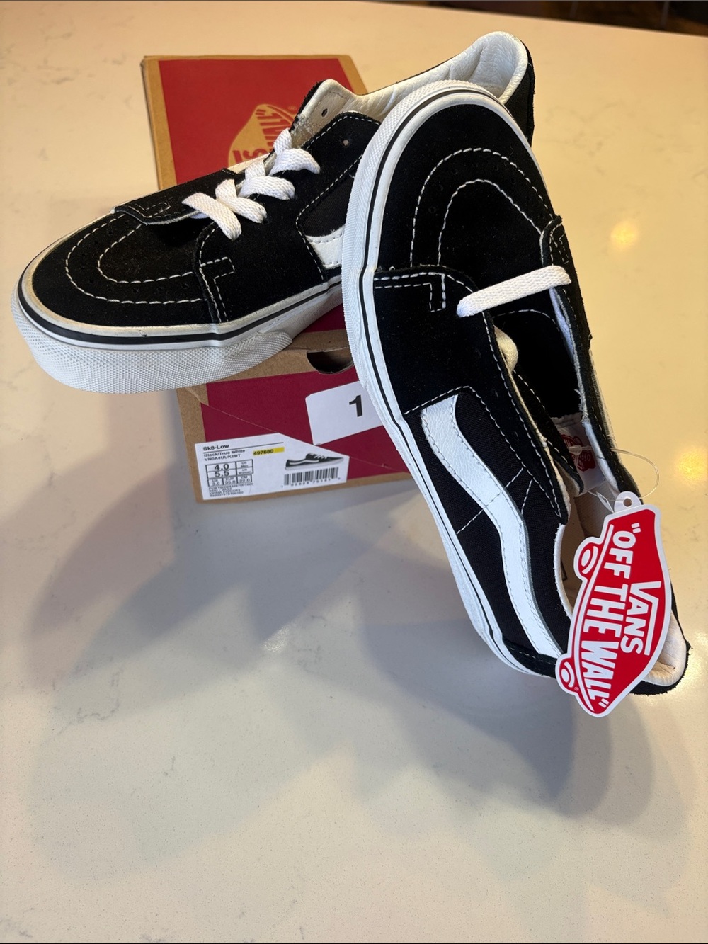 Vans Black and White Low-Top Skate Shoes